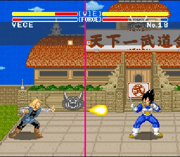 Dragon Ball Z - Super Butouden (France) screen shot game playing